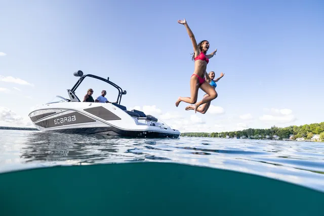 Scarab 255 LX — Download Specification